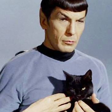 Phil0s0sraptor picture