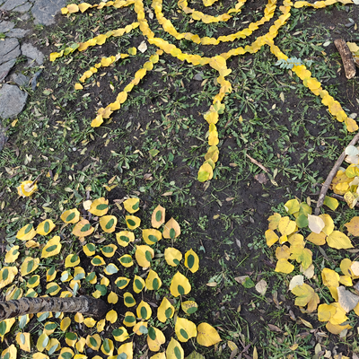 RoisinGibbons picture