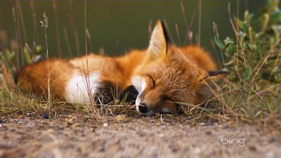 Mariano Sanchez picture