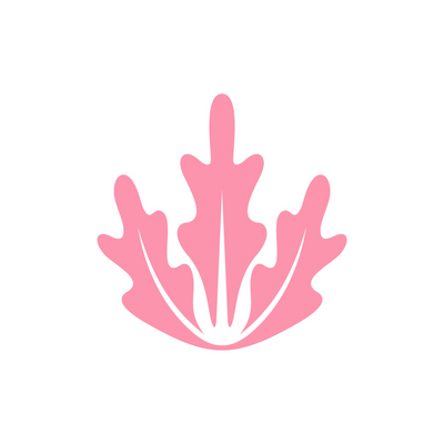 Pink-Lettuce picture