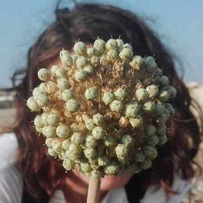 alessandracividini picture