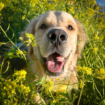 selenealexia picture