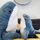 user photo