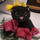 user photo