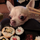 user photo