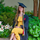 user photo