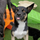 user photo